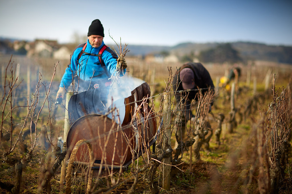 Domaine Jacques Prieur la taille hivernale #2